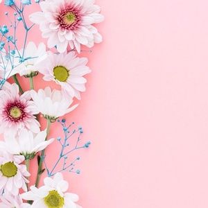 Meet your Posher, Shrihitha